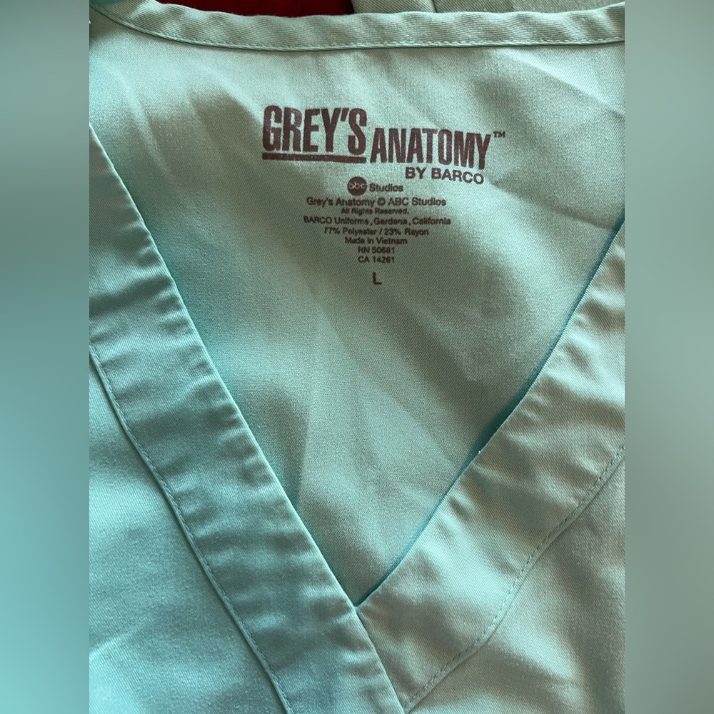 Grey Anatomy nursing scrub set teal